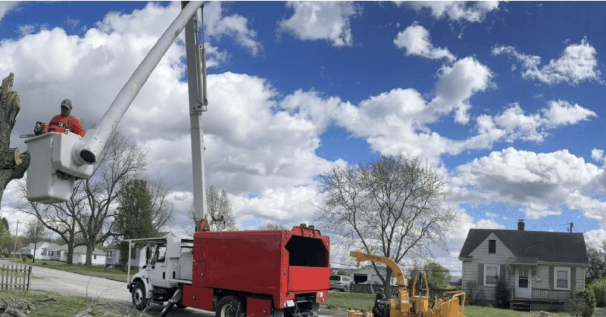 Affordable Tree Service