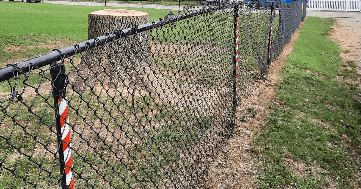 Stump Grinding Removal