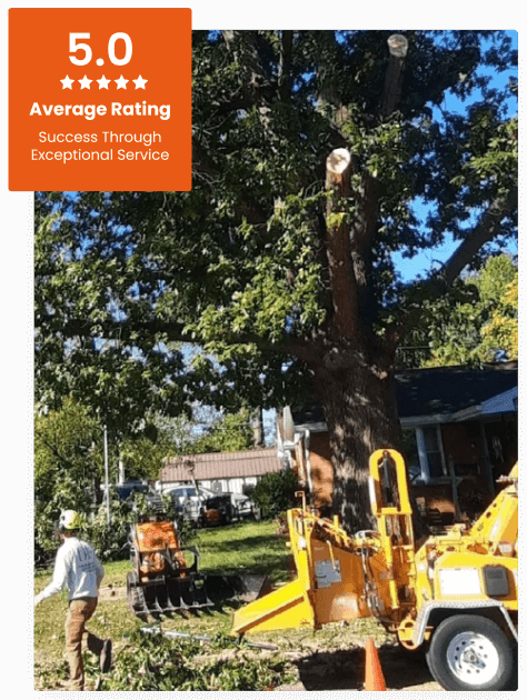 Commercial Tree Service
