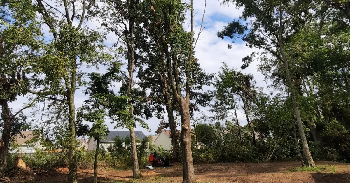 Lot Clearing & Tornado Cleanup