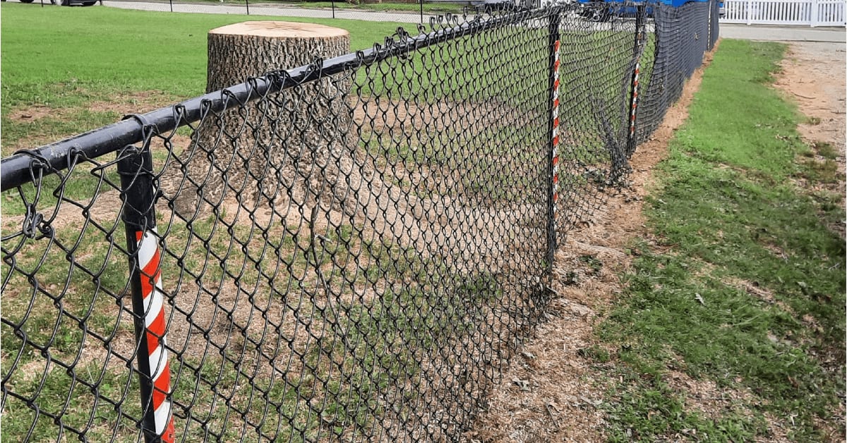Stump Grinding Removal